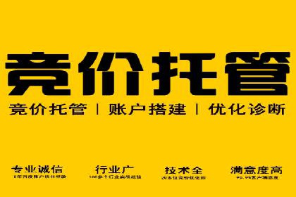 揭秘信息流优化师：成功案例背后的技巧
